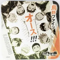 ハイキュー 烏野 ゲンガ 青春激励 コースター