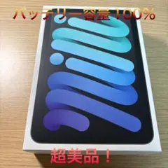 【超美品】iPad mini A17 Pro 128GB スペースグレイ