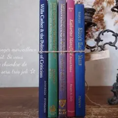 B284 ヴィンテージ 洋書 お洒落な組み合わセット ディスプレイ インテリア