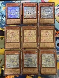 マルチャミーフワロス　マルチャミーニャルス　マルチャミープルリア　各3枚