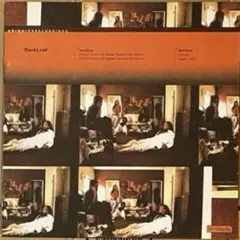 Darkleaf – Eclectic Storm