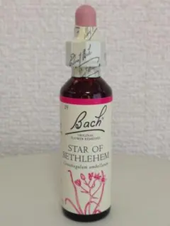 Item thumbnail for item 1d576229-a741-4ab1-aca6-abab37c4e187