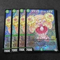 2025年最新】アカネ チアスカーレット aの人気アイテム - メルカリ