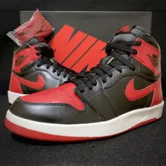 NIKE AIR JORDAN 1.5HIGH THE RETURN ジョーダン