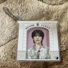2026年最新】carat land ウォヌの人気アイテム - メルカリ