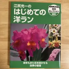 江尻光一のはじめての洋ラン