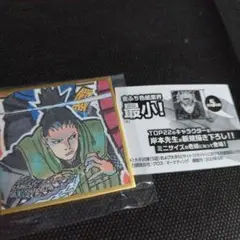 シカマル　豆色紙