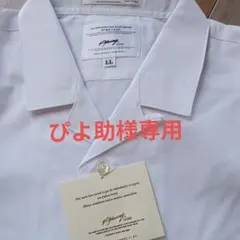 Item thumbnail for item 05f66a87-0d02-4a39-a5e7-95305fd08572