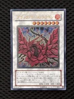 2026年最新】レリーフ ブラックローズドラゴンの人気アイテム - メルカリ