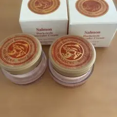 SKINFOOD Salmon Darkcircle コンシーラー　2個