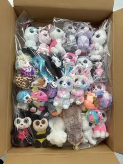 Item thumbnail for item edfe127b-8cdf-46d6-9454-462204403a91