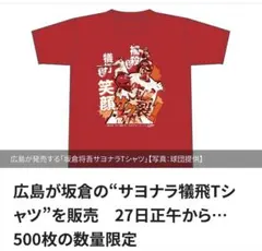 丸子様 リクエスト 2点 まとめ商品