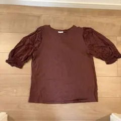 秋服　五分袖カットソー エンジ　ボルドー
