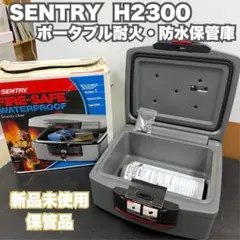 2026年最新】SENTRY H2300の人気アイテム - メルカリ