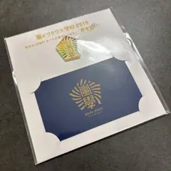 【美品】嵐　嵐のワクワク学校2019 ピンバッジ　学生証