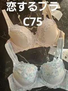 Item thumbnail for item 5d17c0e2-2849-4ab8-a728-634bf3f5ea6a