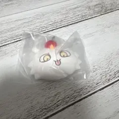 ちいかわ あのこ ホイップマグ