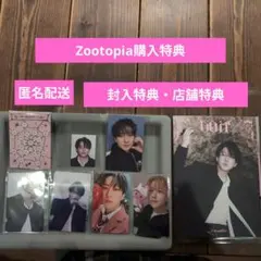 Stray Kids DoItアコーディオン　封入　 店舗特典　チャンビン