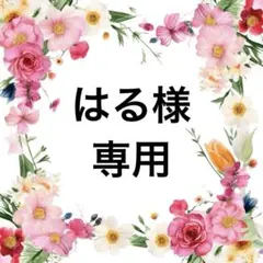 はる様 リクエスト 4点 まとめ商品