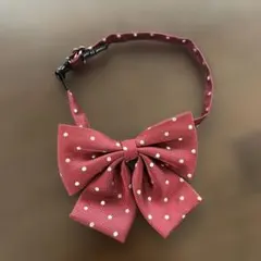 COMME CA ISM ボルドー ドット リボンネクタイ