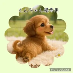 【1月】もんちゃん様専用