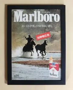 Item thumbnail for item 67ee8d55-d222-47c5-b170-c5fa97ca2afd