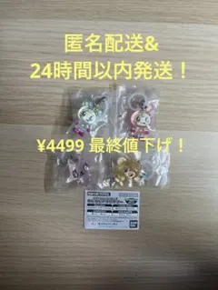 ナルミヤキャラクターズ　めじるしアクセサリー　4種セット　ベリエ　ルッキー　ピコ