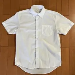 Item thumbnail for item dbb9dd48-cfc5-497f-b122-f0334186620b