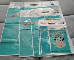 ディズニー　東京ディズニーシー　お土産袋　ショップ袋　スプリングボヤッジ