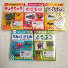 ものしりカード　フラッシュカード　うみのいきもの　乗り物　動物　恐竜　カブトムシ