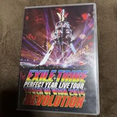 EXILE TRIBE/EXILE TRIBE PERFECT YEAR LI… - メルカリ