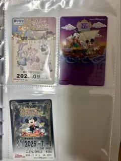 ディズニーリゾートライン フリーきっぷセット