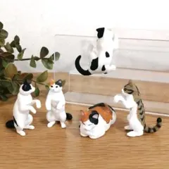 猫 5匹セット アニアなど