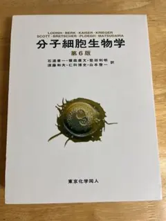2025年最新】細胞の分子生物学 第6版の人気アイテム - メルカリ