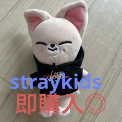 straykids アイエン　フォニクシー　skzoo