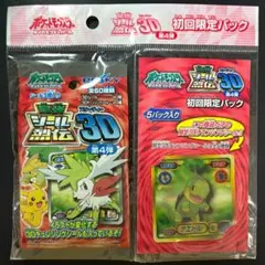 希少品】ポケモン 最強シール烈伝 3D 未開封品 初回限定パック 氷空の