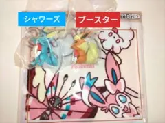 ポケモン ブイズセット