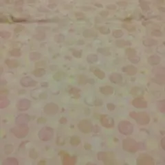 Item thumbnail for item 19f48eb3-524d-41af-b0a7-7da9038a9841