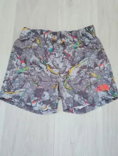 美品☆ノースフェイス 水陸両用 カモフラ×イグアナ？