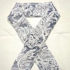 Item thumbnail for item 08192601-4b5b-4fb1-bf7b-229cee634d17