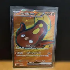 ムンク展 ポケモンカードゲーム ミニカードファイル 叫びピカチュウ