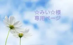 ♡☆みい☆様専用ページ♡スワッグdustybule&Lightpurple♡
