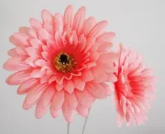 ⭐️ ノリタケ アイボリーチャイナ レースプレート5客 18cm 美品 ⭐️ 2025年最新】ノリタケ アイボリーチャイナ レースの人気アイテム