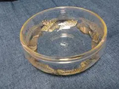 Item thumbnail for item 9027297f-03ff-49dc-9243-7943e5743aa3