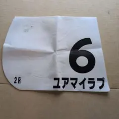 競走馬 ゼッケン 6 ユアマイラブ 2R
