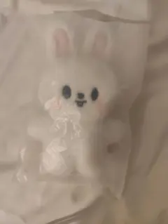 2025年最新】STRAYkids リノ ぬいぐるみの人気アイテム - メルカリ