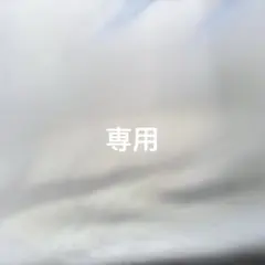 専用