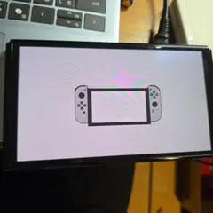 Nintendo switch 有機el 3114KU