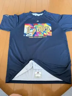 Item thumbnail for item 22d79938-c833-4b7f-8b45-30f1cf0b4f31