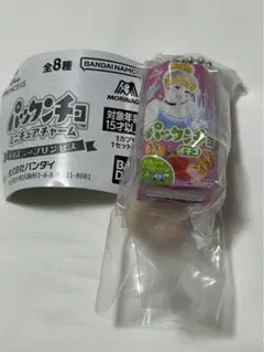 ディズニープリンセス　パックンチョ　ミニチュアチャーム　シンデレラ②